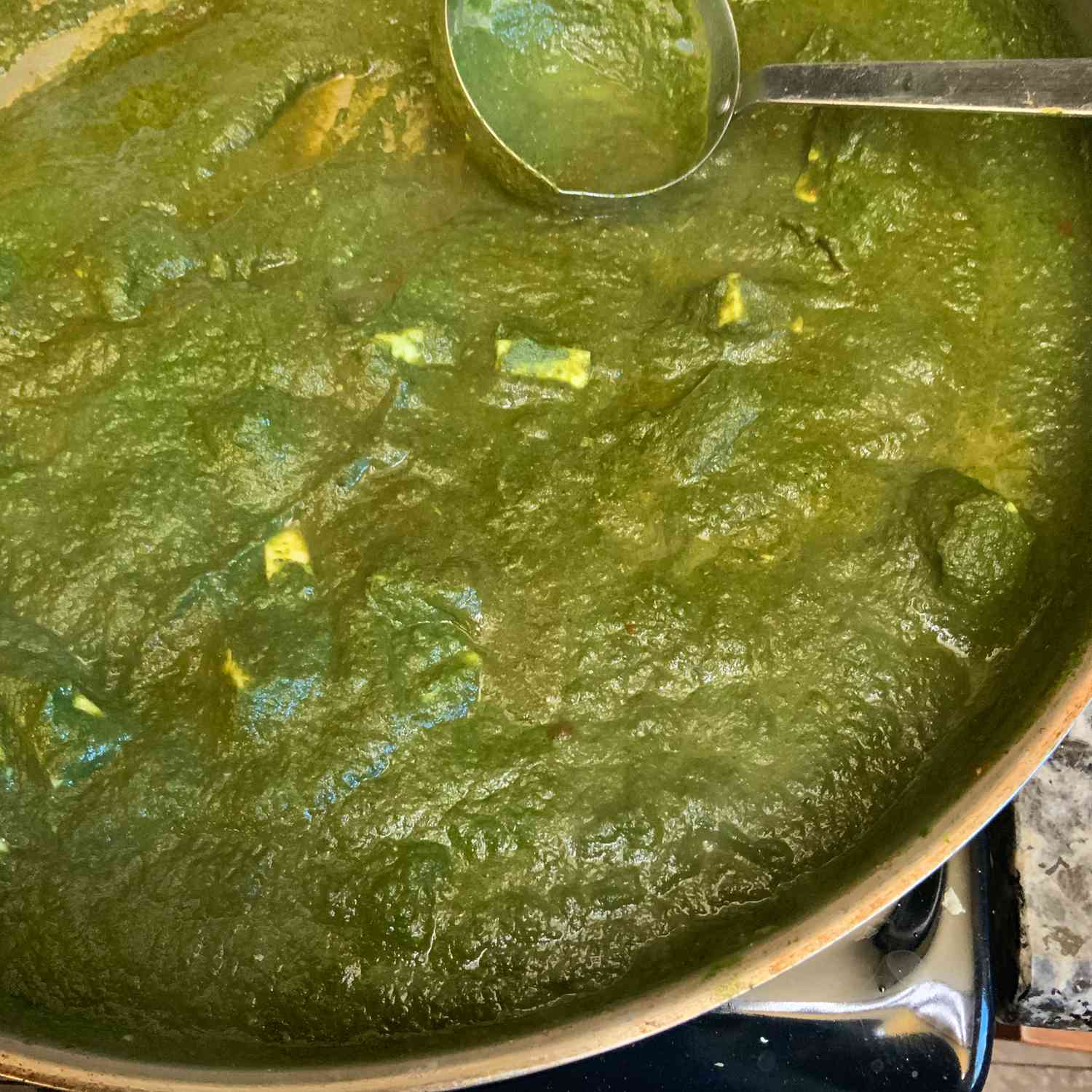 Spinach Curry with Paneer